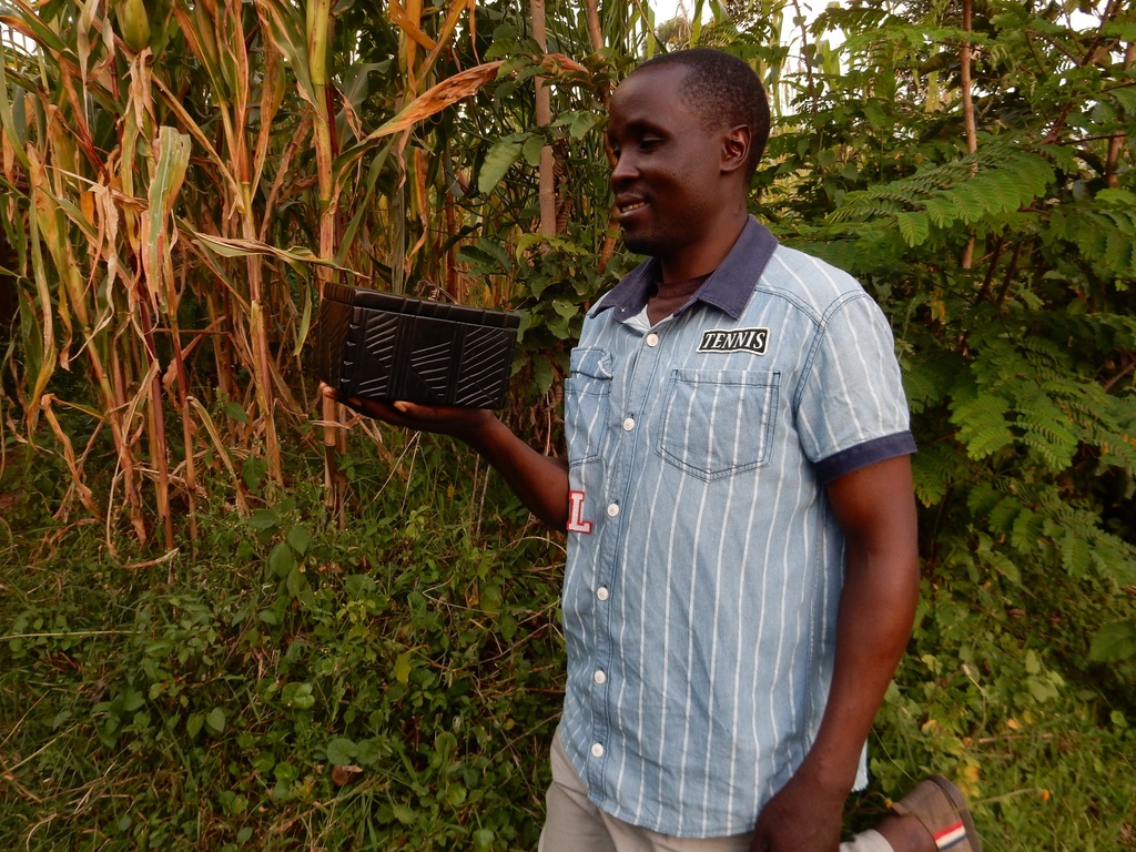 Kisii Stone Decorative Box: Safeguard Treasures